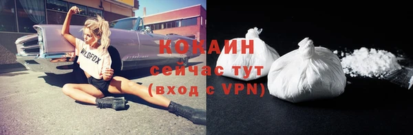 эйфоретик Вяземский