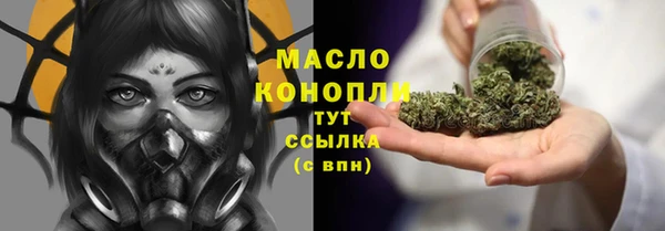 эйфоретик Вяземский