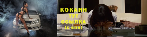 эйфоретик Вяземский