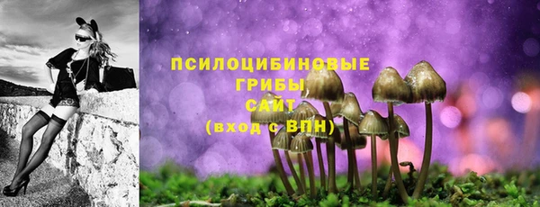 эйфоретик Вяземский